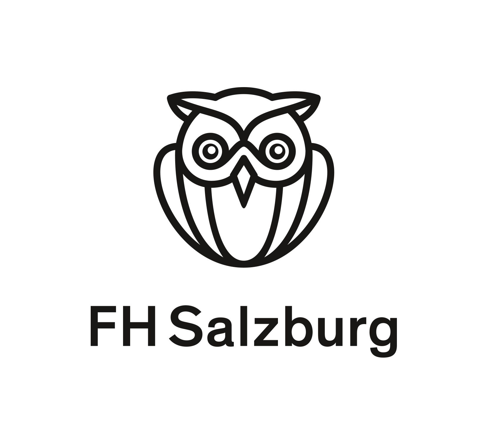 fachhochschule-salzburg-gmbh-30569604