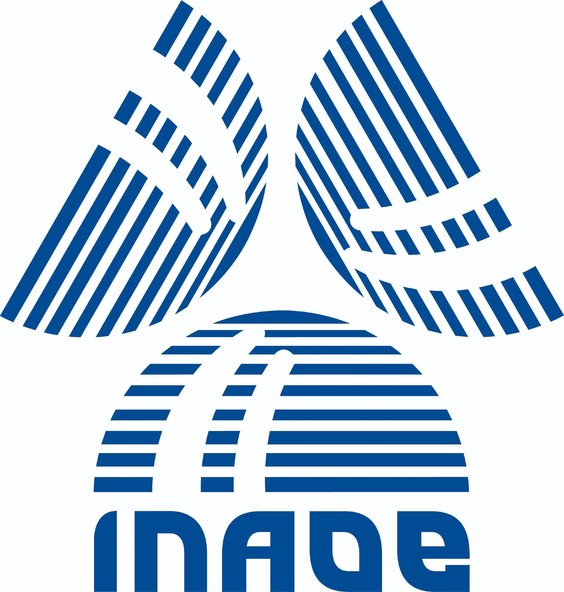 Instituto Nacional de Astrofísica, Óptica y Electrónica