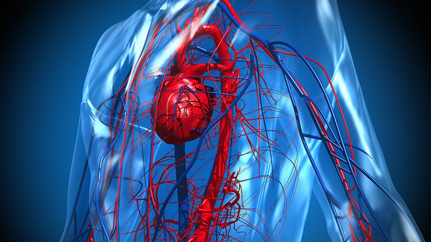 MathWorks MedTech Forum