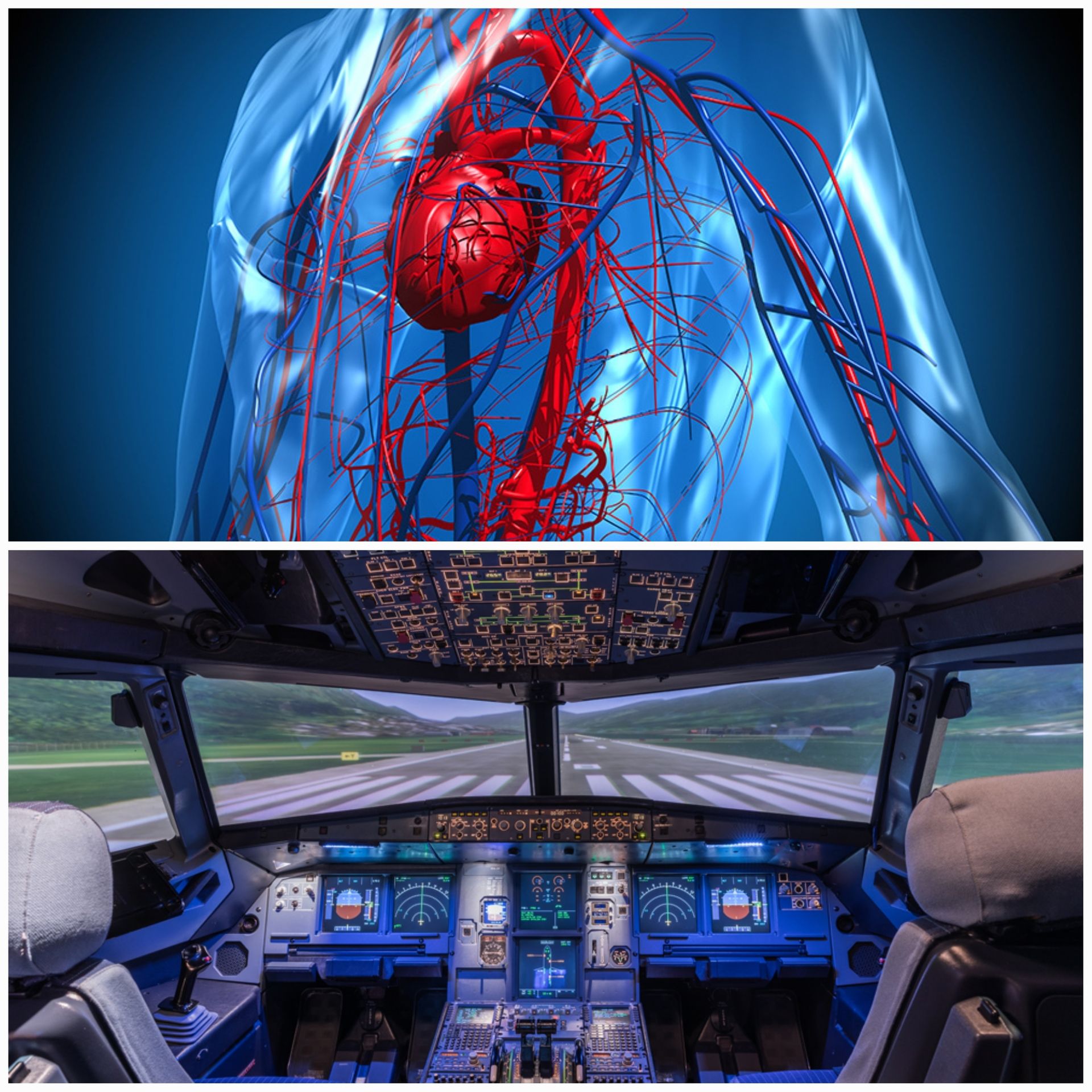 incorporating-machine-learning-models-safety-critical-sys