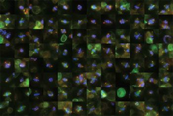 microscopy_fig1_w.jpg