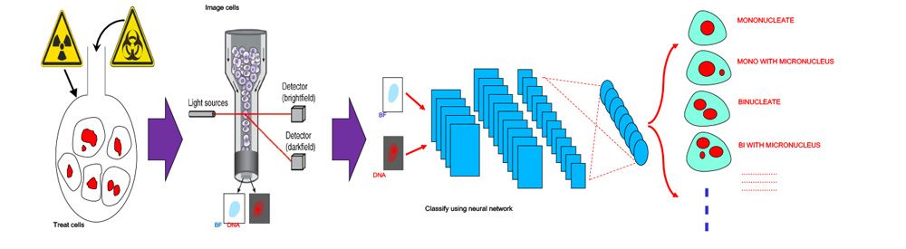 Figure 2. Automated image classification workflow. 