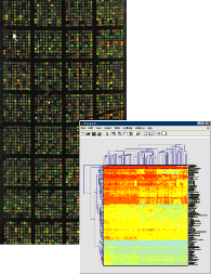 cb_fig3_w.gif