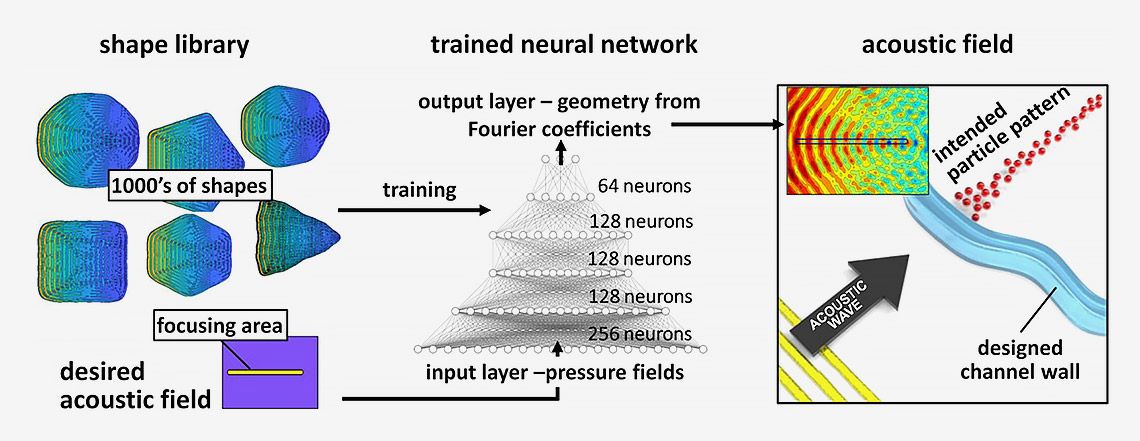 The acoustic field flow starting with the desired shape through the trained neural network to create the acoustic field and intended particle pattern to align with the shape.