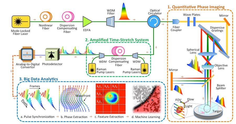 Abbildung 3: Diagramm des Systems für Time Stretch Quantitative Phase Imaging und Analyse.