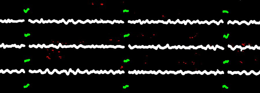 Figure 4. A seismogram in which objects have been classified as traces (white), time marks (green), and noise (red).