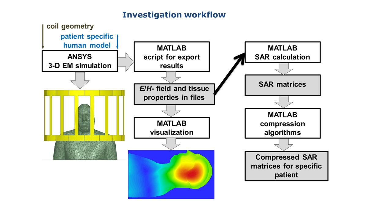 Der Workflow zur Berechnung der spezifischen Absorptionsrate unter Verwendung virtueller Modelle des Menschen mit MATLAB.