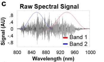 Figure 3. A recorded interferogram divided into two bands.