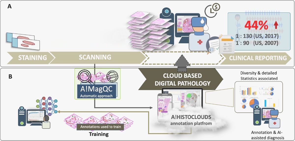Un diagramme de workflow de la plateforme d'images numériques de pathologie, comprenant A!MagQC, un outil d'évaluation de la qualité d'image entièrement automatisé.