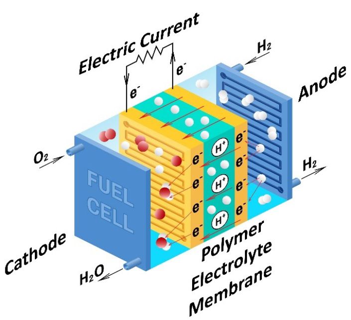 P E M fuel cell illustration of the flow of oxygen and hydrogen and the chemical reaction to produce an electric current and water.