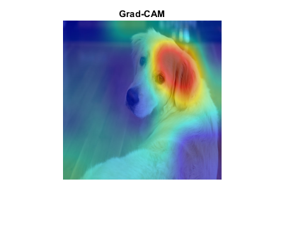 Carte de chaleur d'un chien comme exemple de test des données