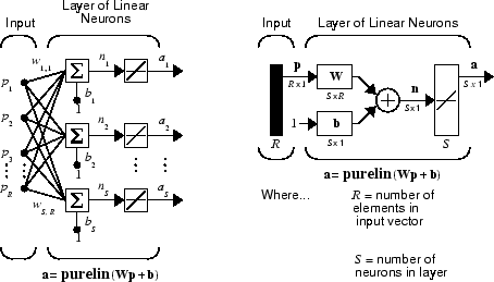 Schematic diagrams showing a layer containing S linear neurons.
