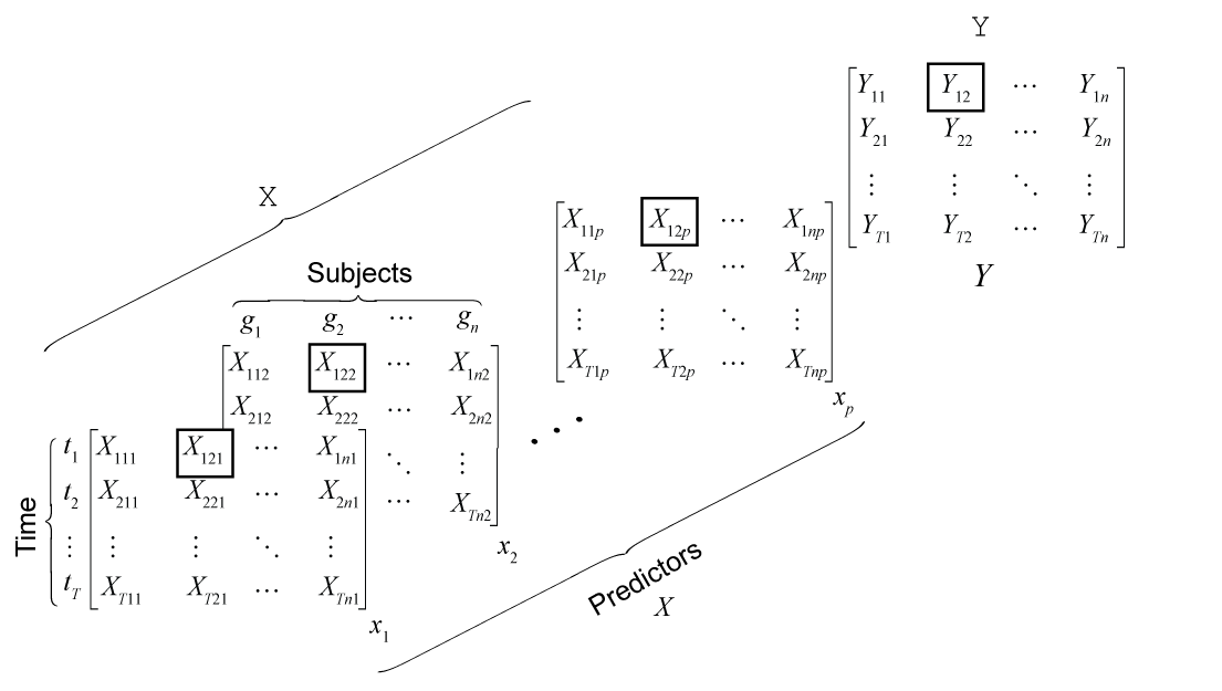 Schematic diagram showing a longitudinal dataset in wide format. The matrix X represents predictors organized by subjects (columns) and time points (rows), with multiple predictor variables per observation. Individual entries are labeled with indexed values. A separate matrix Y on the right represents outcome variables aligned with the same subjects and times.