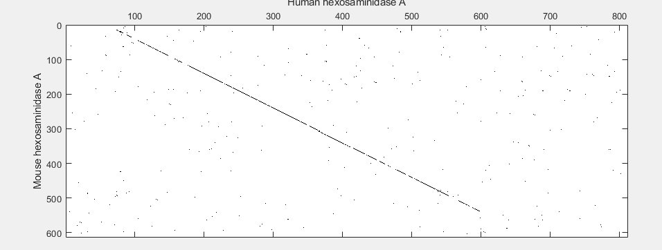 Aligning Pairs of Sequences