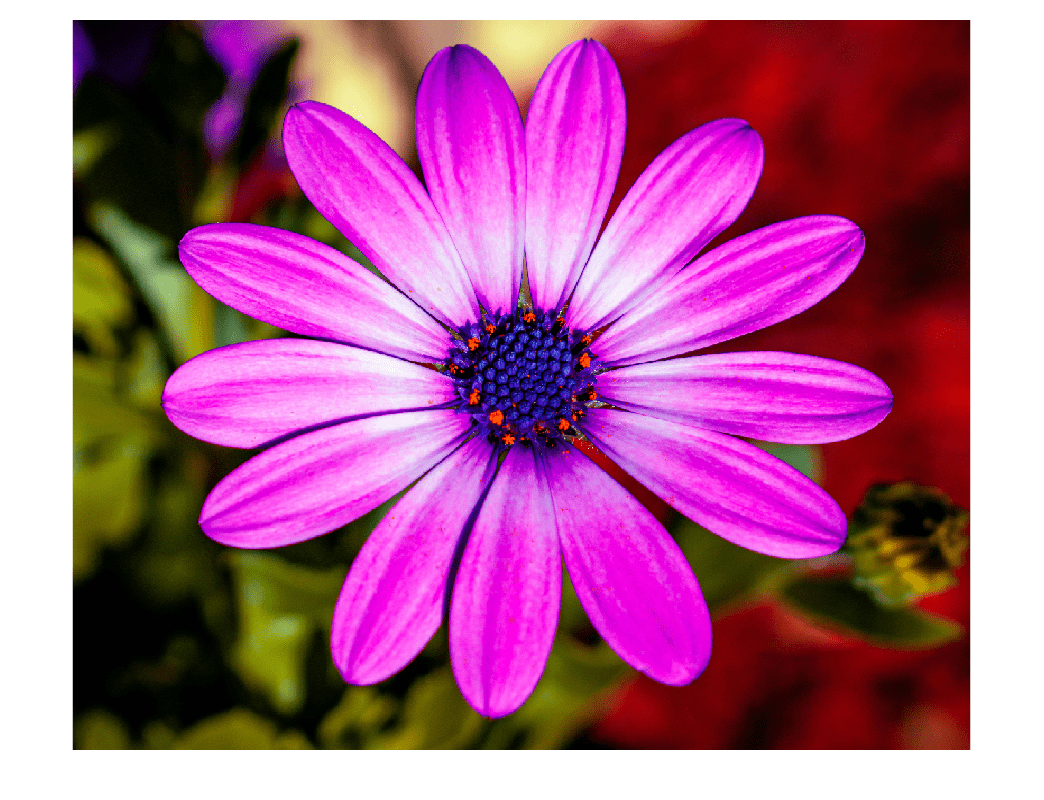 Figure contains an axes object. The hidden axes object contains an object of type image.