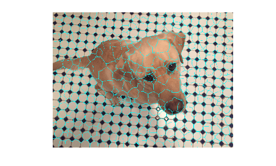 Figure contains an axes object. The hidden axes object contains an object of type image.