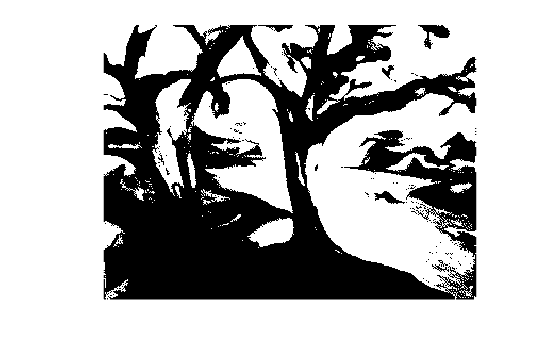 Figure contains an axes object. The hidden axes object contains an object of type image.
