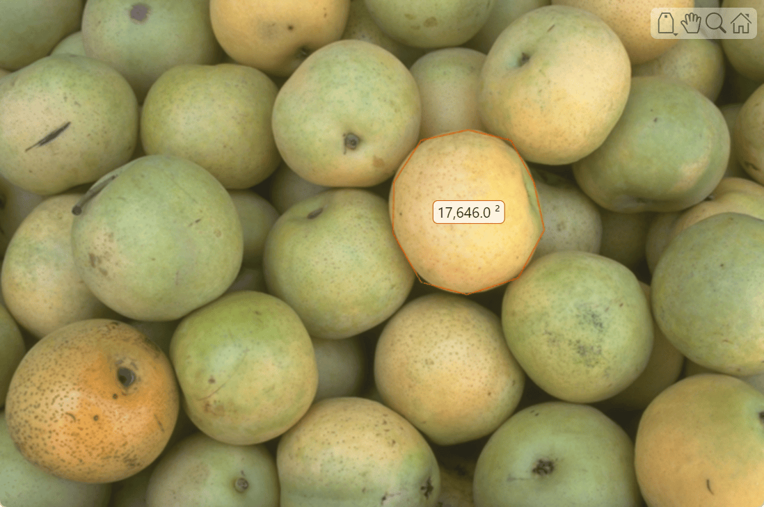 Pears ROI with numeric label around one pear