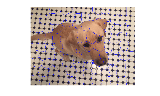 Figure contains an axes object. The hidden axes object contains an object of type image.