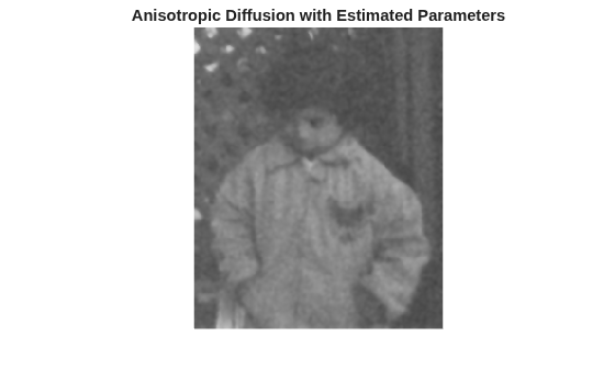 Figure contains an axes object. The hidden axes object with title Anisotropic Diffusion with Estimated Parameters contains an object of type image.