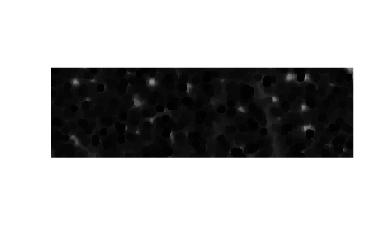 Figure contains an axes object. The hidden axes object contains an object of type image.