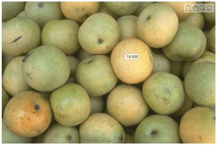 Pears image with a circle ROI with a numeric label around one object