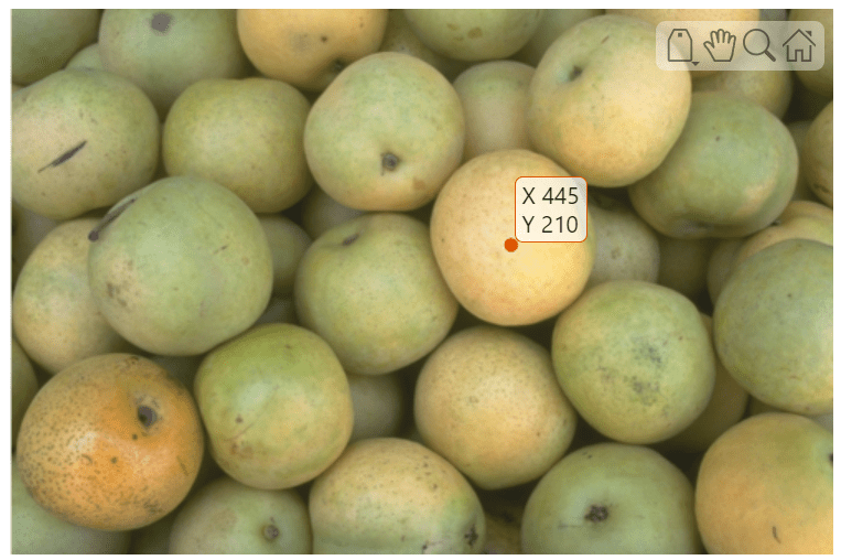 Pears image with point ROI object with a numeric label on one object