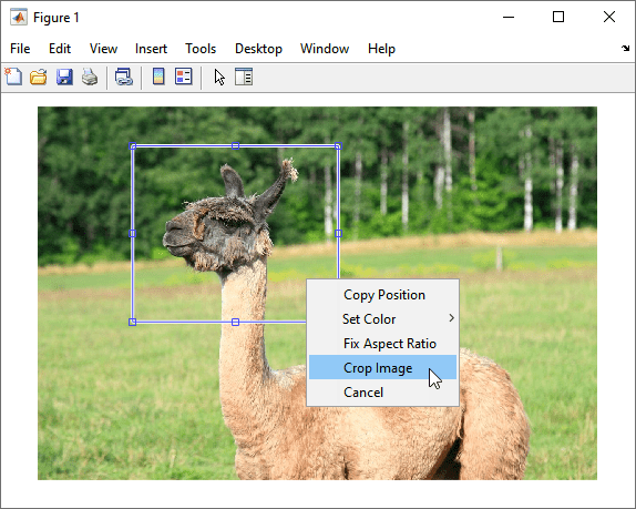 CropImageUsingCropImage InteractiveToolExample_02.png