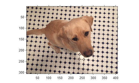 Figure contains an axes object. The axes object contains an object of type image.