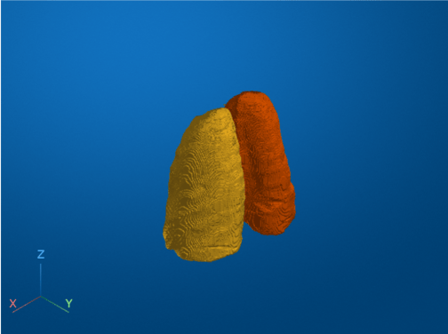 Lung labels generated by the pretrained network, displayed as opaque volumes in a viewer window