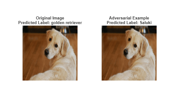 Figure contains 2 axes objects. Hidden axes object 1 with title Original Image Predicted Label: golden retriever contains an object of type image. Hidden axes object 2 with title Adversarial Example Predicted Label: Saluki contains an object of type image.