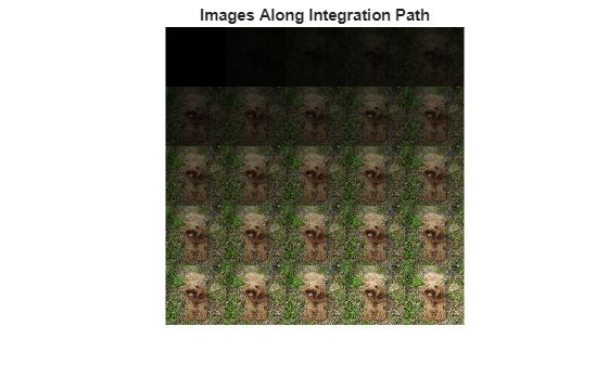 Figure contains an axes object. The hidden axes object with title Images Along Integration Path contains an object of type image.