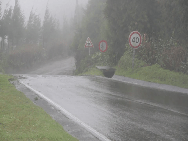 Processor-in-the-Loop Execution on NVIDIA Targets Using GPU Coder