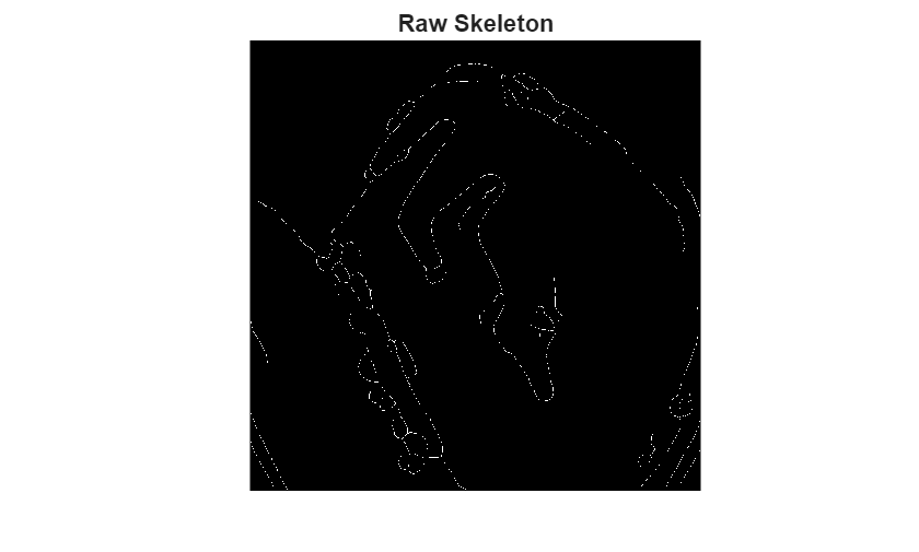 Figure contains an axes object. The hidden axes object with title Raw Skeleton contains an object of type image.