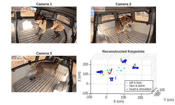 Figure contains 4 axes objects. Axes object 1 with title Reconstructed Keypoints, xlabel X (cm), ylabel Y (cm) contains 43 objects of type line, text, patch. One or more of the lines displays its values using only markers These objects represent tail & legs, hips & spine, head & shoulders. Hidden axes object 2 with title Camera 1 contains an object of type image. Hidden axes object 3 with title Camera 2 contains an object of type image. Hidden axes object 4 with title Camera 3 contains an object of type image.