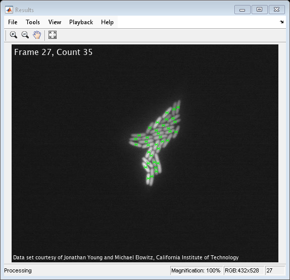 Cell Counting