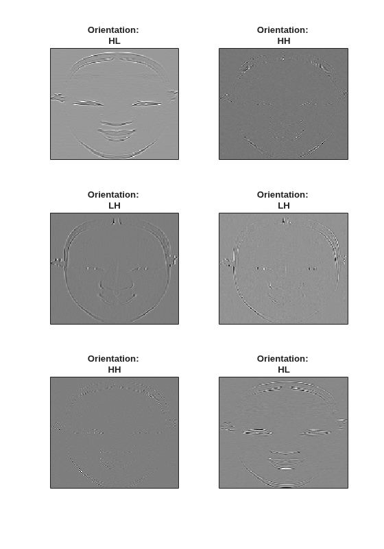 Figure contains 6 axes objects. Axes object 1 with title Orientation: HL contains an object of type image. Axes object 2 with title Orientation: HH contains an object of type image. Axes object 3 with title Orientation: LH contains an object of type image. Axes object 4 with title Orientation: LH contains an object of type image. Axes object 5 with title Orientation: HH contains an object of type image. Axes object 6 with title Orientation: HL contains an object of type image.