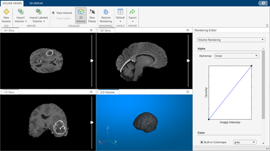 Volume Viewer app displays three orthogonal cross-sections and a 3-D rendering of a volumetric image, with controls to adjust aspects of the display.