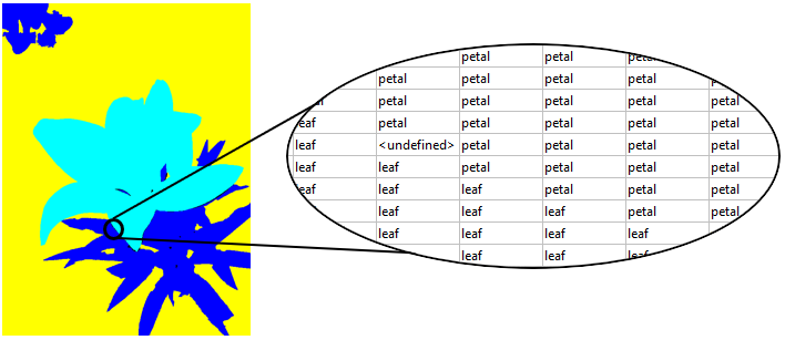 Label image accompanied by a selection of printed categorical pixel values