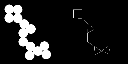 Output of morphological skeletonization applied to a binary image of thirteen touching circles