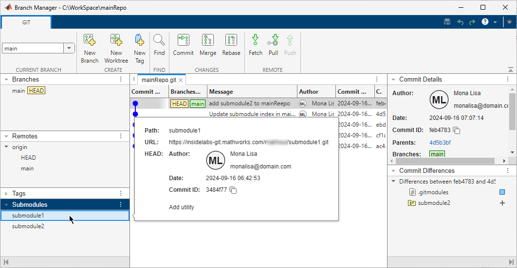 Left pane of the Branch Manager with the pointer on a submodule and a display listing the submodule information in the middle.