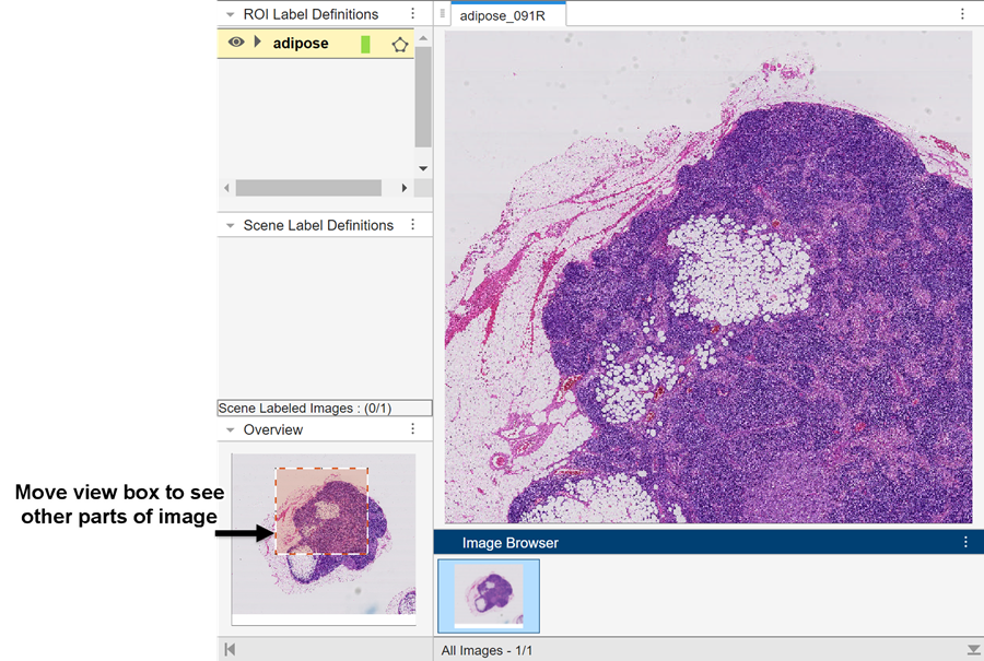 View of blocked image in Image Labeler app.