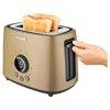 tost