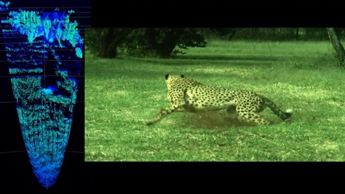 Learn how Researchers at the African Robotics Unit (ARU) study the biomechanics of cheetahs in South Africa to build agile robots using deep learning.